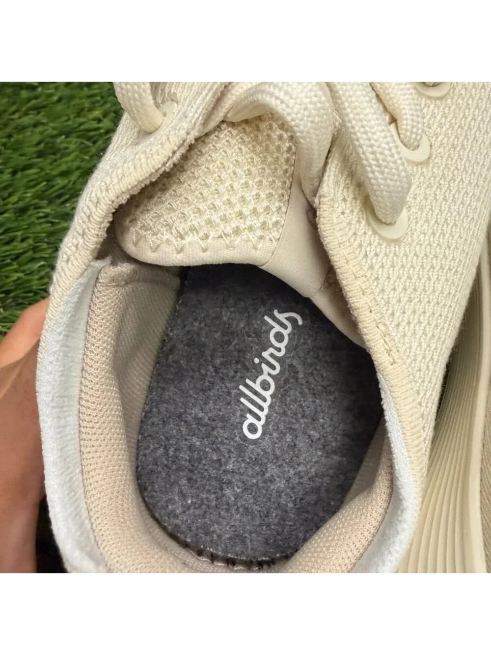 allbirds please review